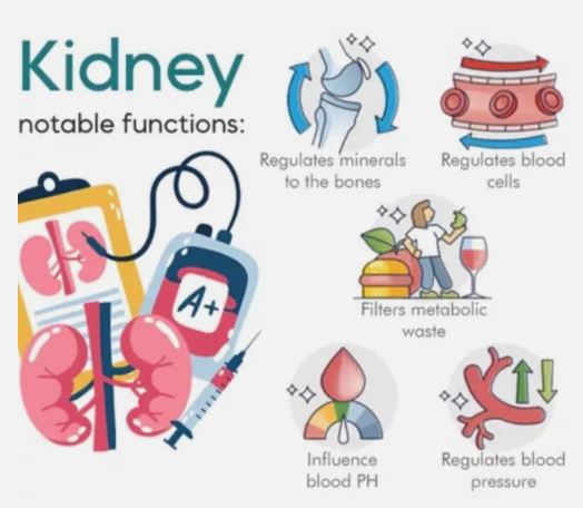 Sugar Control LI4 Acupressure Point Clip (Original)